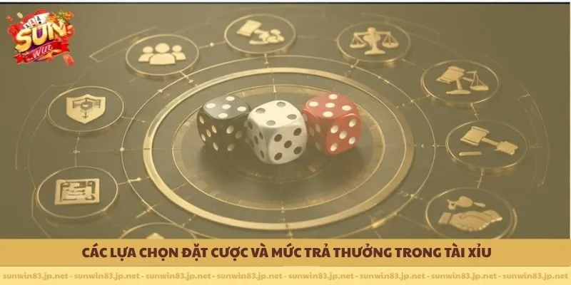 Các lựa chọn đặt cược và mức trả thưởng trong Tài Xỉu