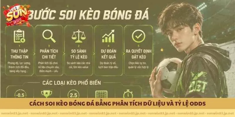 Cách soi kèo bóng đá bằng phân tích dữ liệu và tỷ lệ odds 